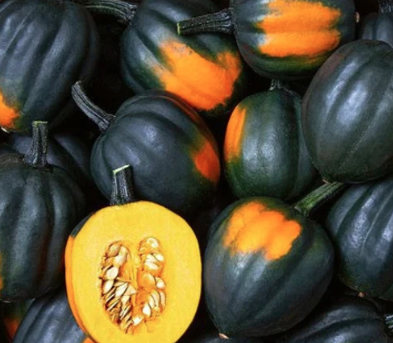 Courge poivrée Table King